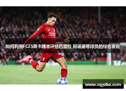 如何利用FC25黑卡精准评估巴雷拉 阿诺德等球员的综合表现