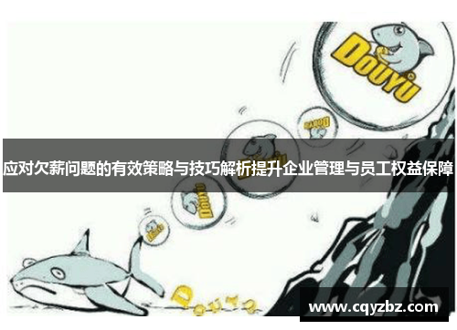 应对欠薪问题的有效策略与技巧解析提升企业管理与员工权益保障