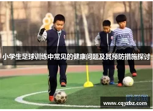 小学生足球训练中常见的健康问题及其预防措施探讨